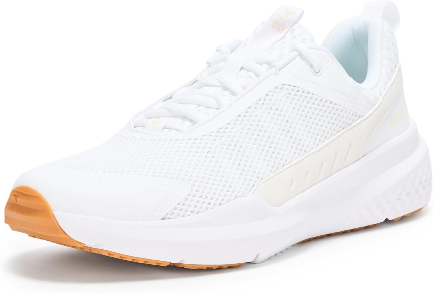 Under Armour Men’s Project Rock Blood Sweat Respect 5